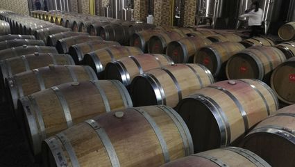 浪吳忠|走進(jìn)東方裕興酒莊 感受獨特的戈蕊紅