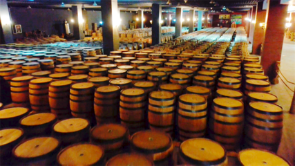 【張掖企業(yè)家日】甘肅祁連葡萄酒業(yè)有限責任公司:&ldquo;釀&rdquo;出高質(zhì)量發(fā)展新氣象