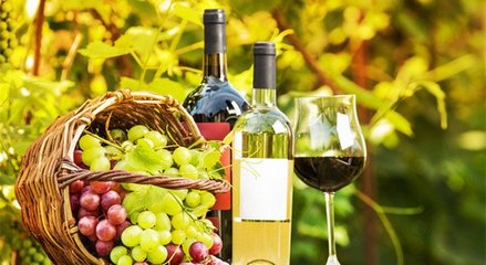 藍菲葡萄酒學院丨終于搞清楚有機葡萄酒、生物動力法葡萄酒了!